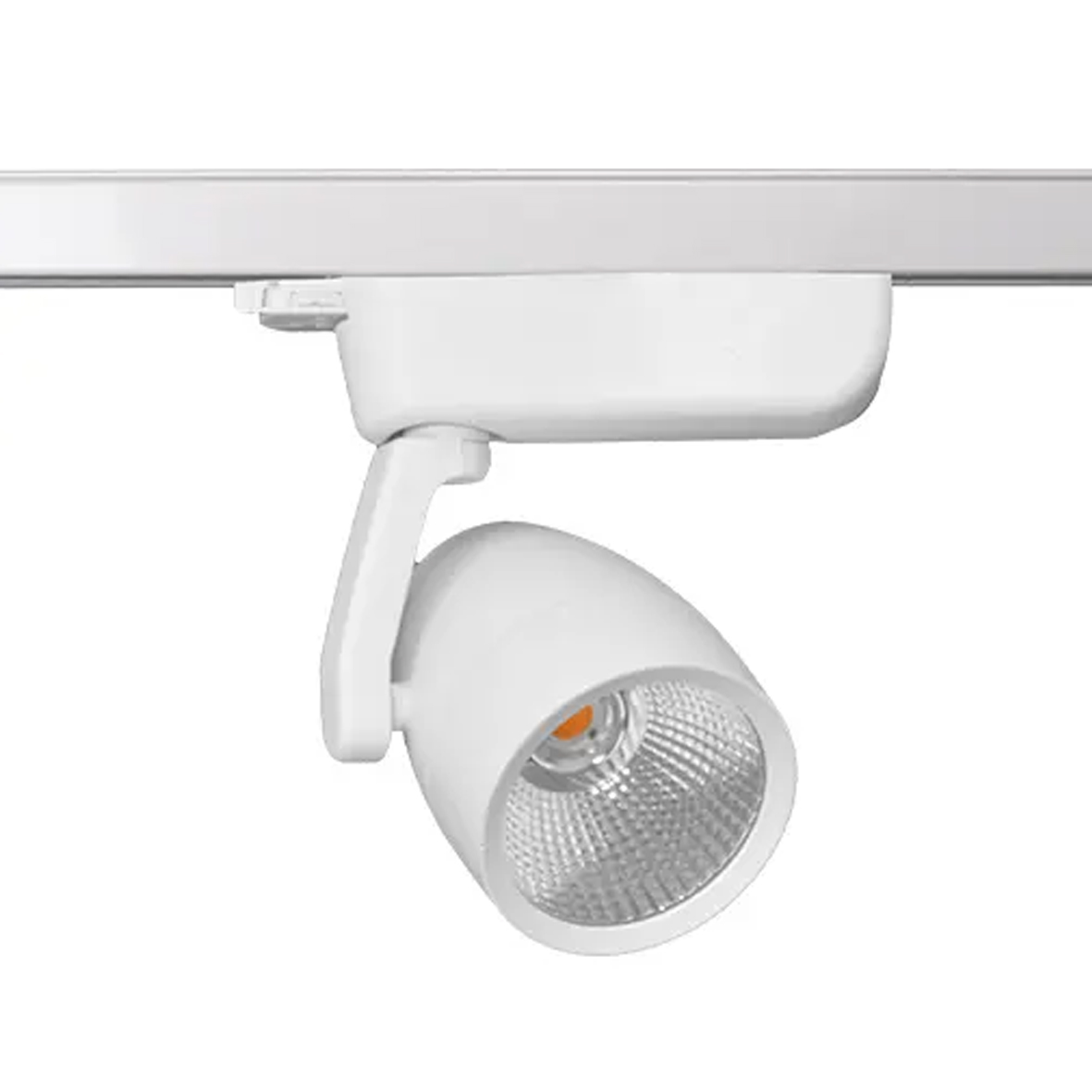 SP2200126 (+) - XXXP30W